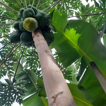 Splanada Poilon Hotel Assomada Luaran gambar