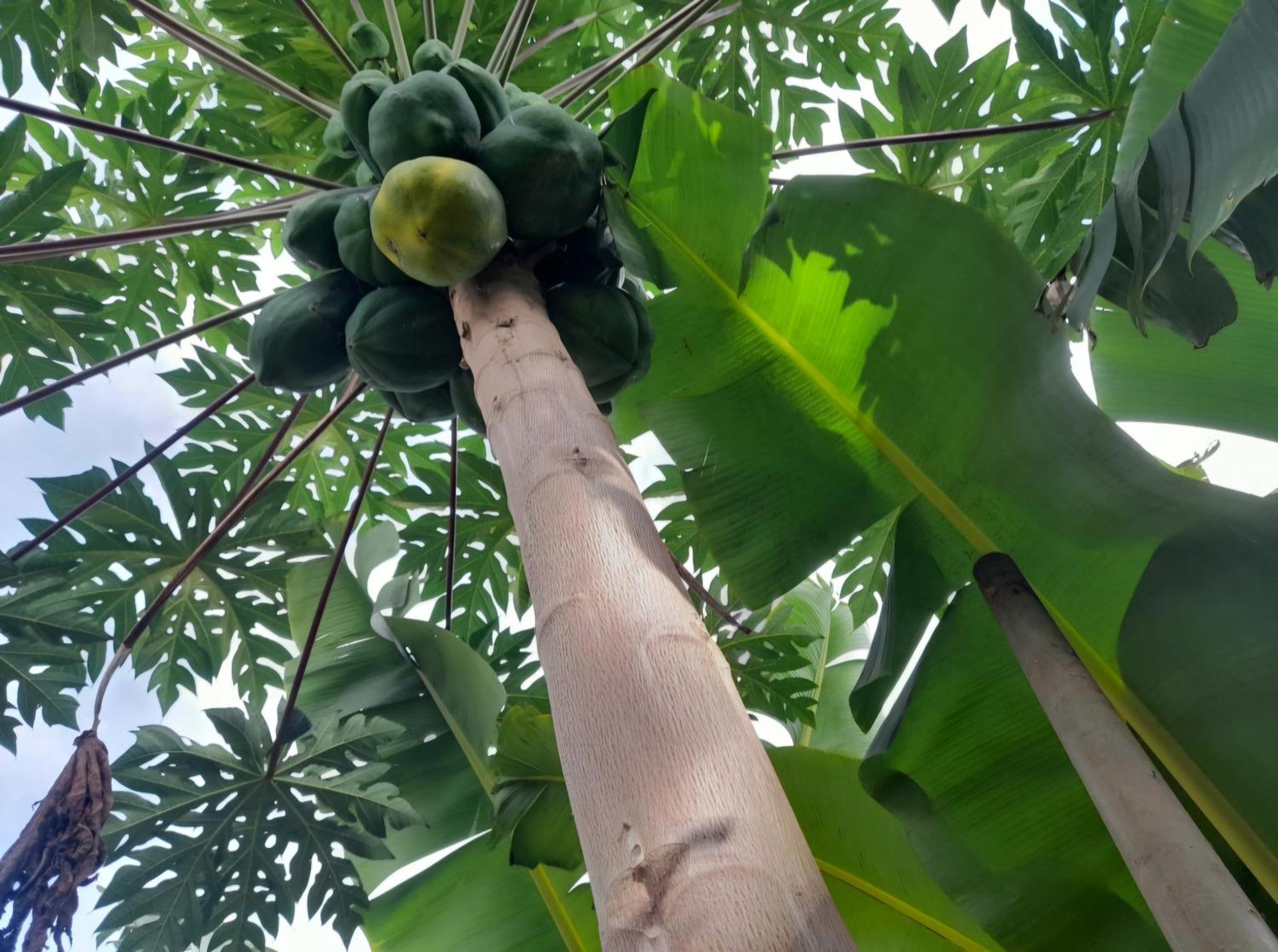 Splanada Poilon Hotel Assomada Luaran gambar